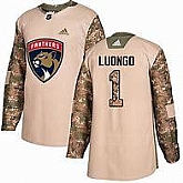 Florida Panthers #1 Roberto Luongo Camo Adidas Veterans Day Practice Jersey,baseball caps,new era cap wholesale,wholesale hats
